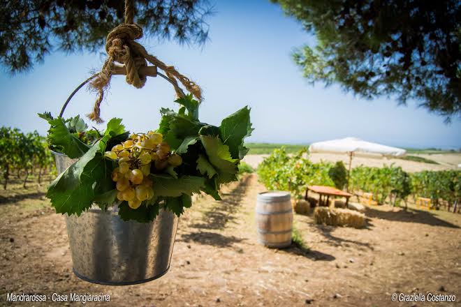 Sicilia dall'occhio al cuore